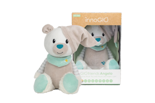 InnoGIO GIOfriends Angelo